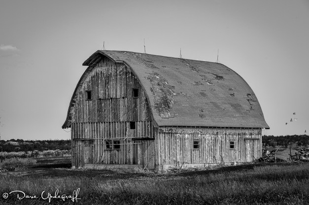 July-11-2015-07-04-2015