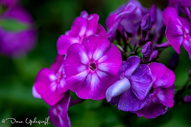 July-24-2015-07-18-15-A