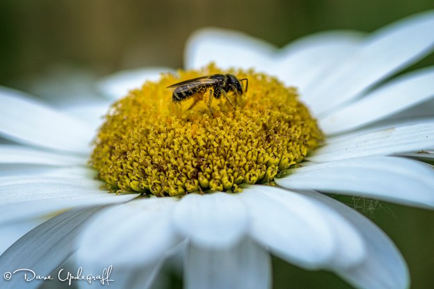 July-24-2015-07-18-15