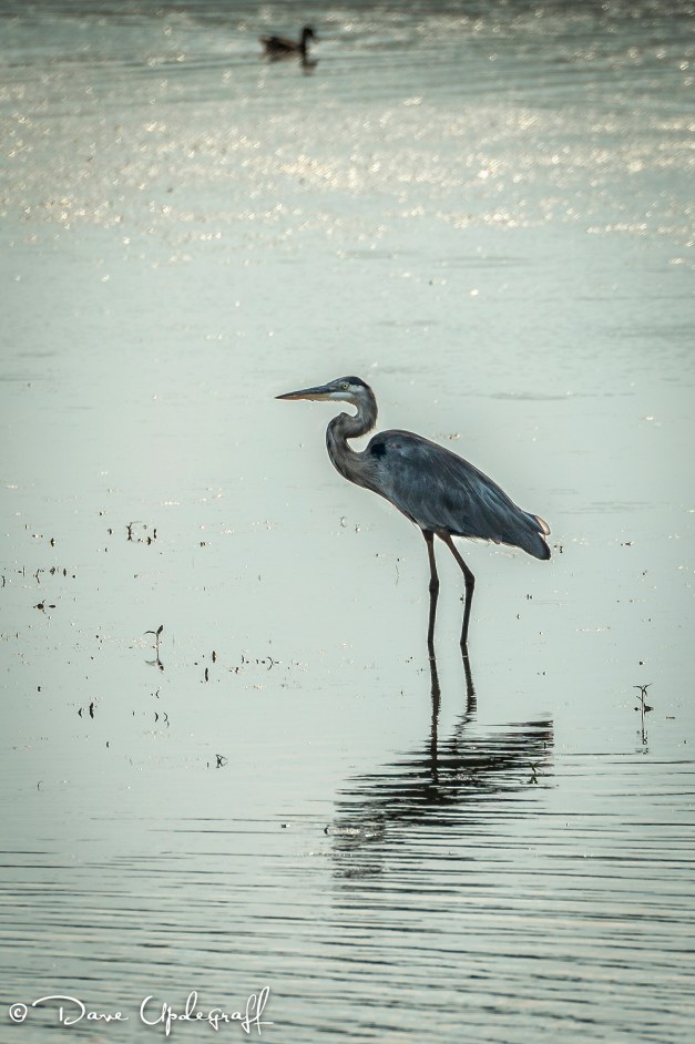 September-02-2015-B_