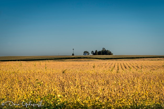 September-20-2015-1C