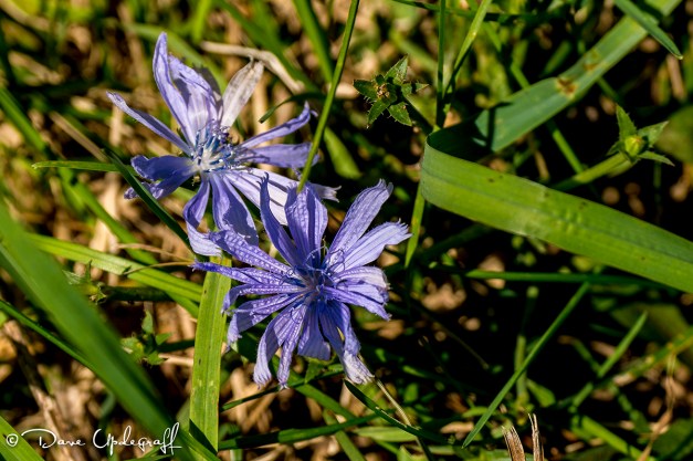 October-11-2015-09-09-2015-1B