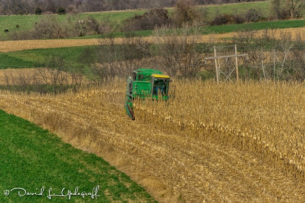 November-10-2015-11-08-15-A