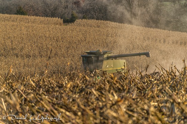 November-10-2015-11-08-15-B