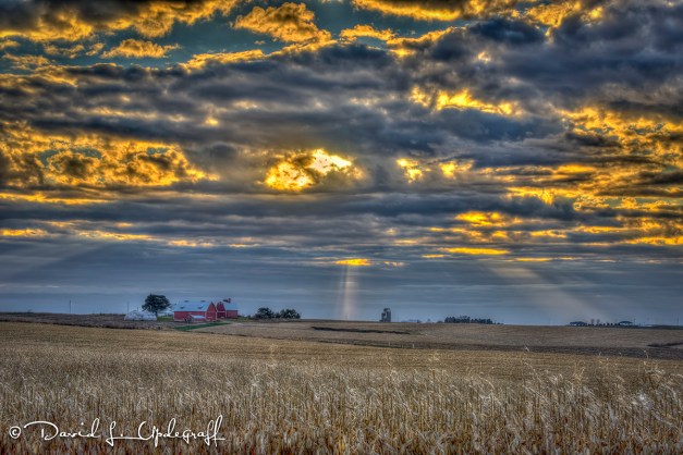 November-19-2015-11-15-2015-B