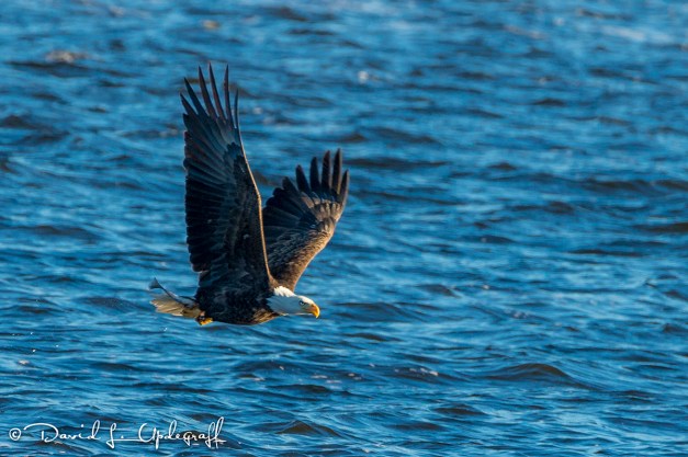 December-27-2015-01-18-15