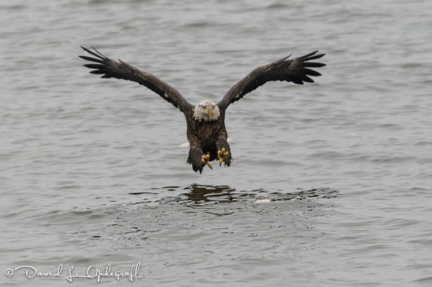 January-20-2016-01-15-16