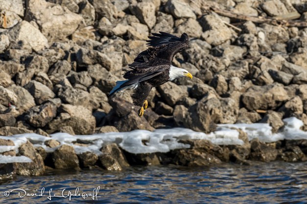 February-01-2016-01-29-2016-1A