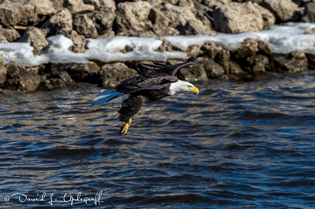 February-01-2016-01-29-2016-2A