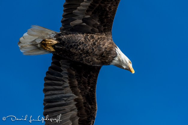 February-03-2016-01-31-16-B