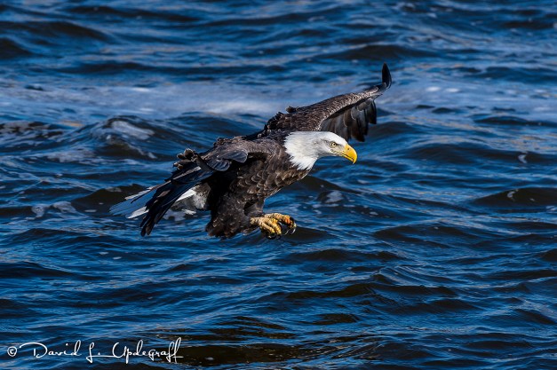 February-04-2016-01-31-16-A