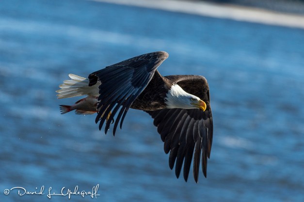 February-11-2016-01-29-16-A