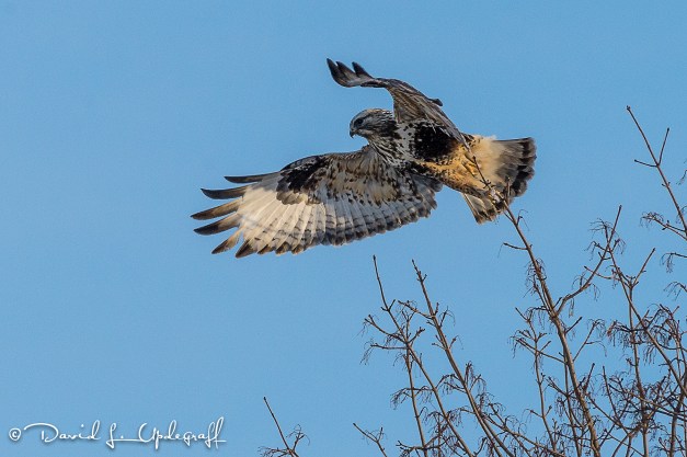 February-13-2016-02C