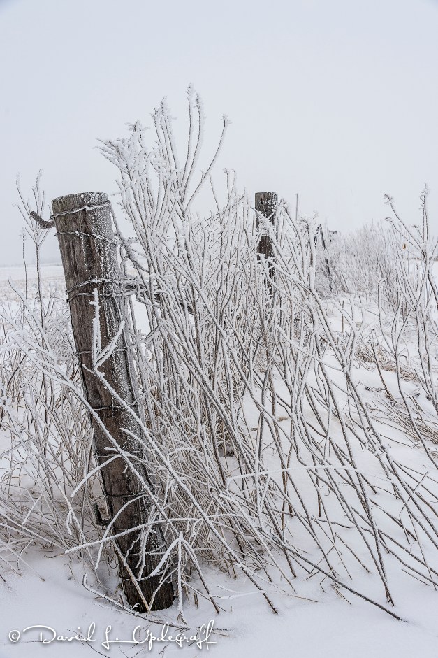 February-27-2016-02-15-2016-B