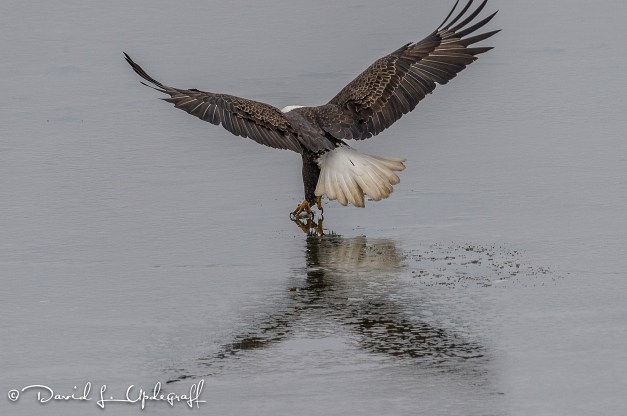 March-08-2016-03-05-16-C