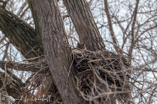 March-09-2016-03-06-16-D