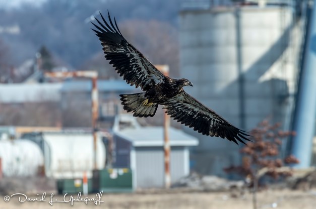 March-10-2016-03-06-16-A