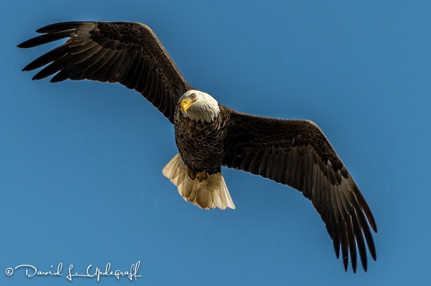 March-10-2016-03-06-16-B