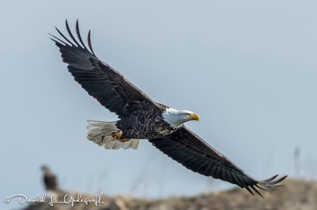 March-10-2016-03-06-16