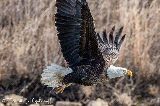 March-20-2016-03-06-2016-A