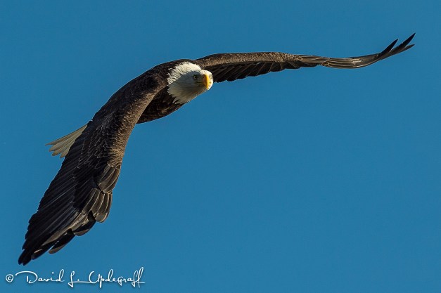 March-24-2016-03-06-16-B