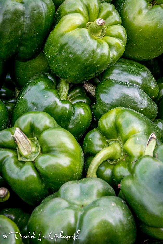 August-17-2016-08-13-16-B