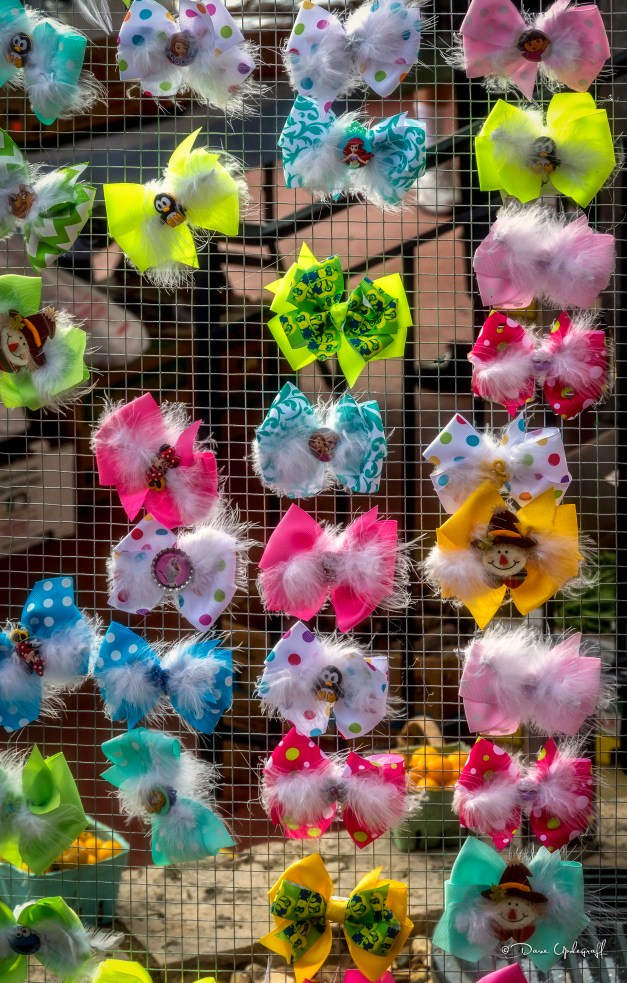 August-30-2016-08-13-16-BS