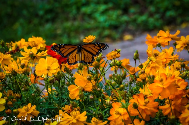 september-20-2016-09-19-16-c