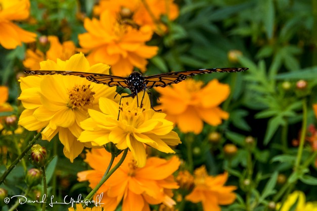 september-22-2016-09-19-16-a