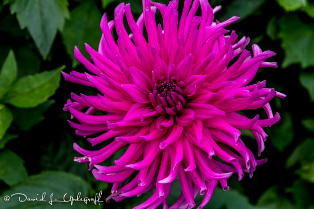 september-22-2016-09-19-16-c