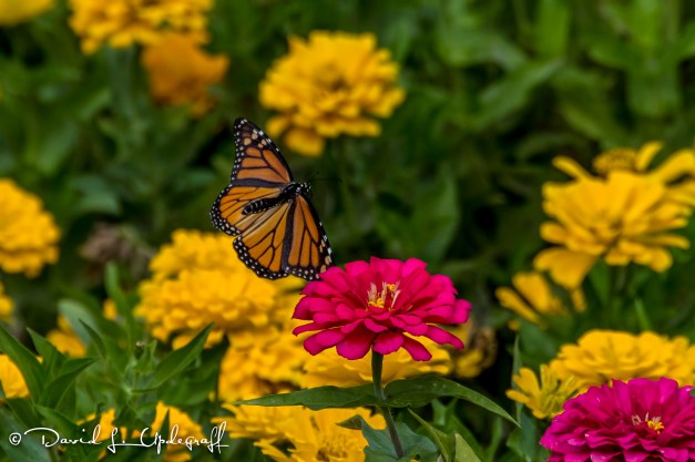 september-22-2016-09-19-16-d