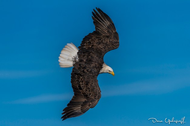 december-21-2016-01-29-16