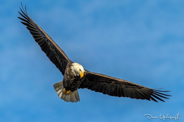 december-22-2016-01-29-16